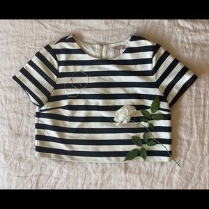 Striped Crop Top w/Gold Zipper